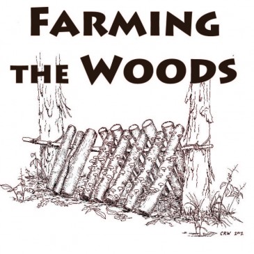 FLPCI cofounder Steve Gabriel writing “Farming the Woods” book (video)
