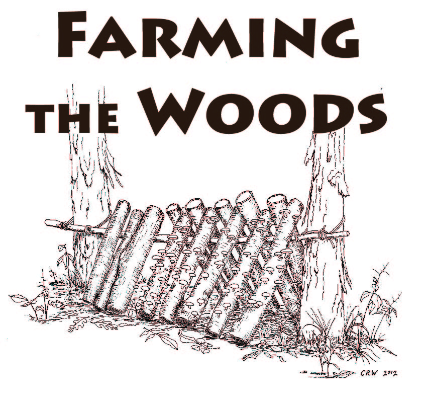 FLPCI cofounder Steve Gabriel writing “Farming the Woods” book (video)