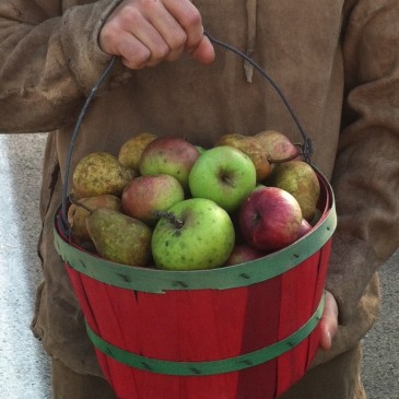 FLPCI Alum builds his farm with apples & permaculture
