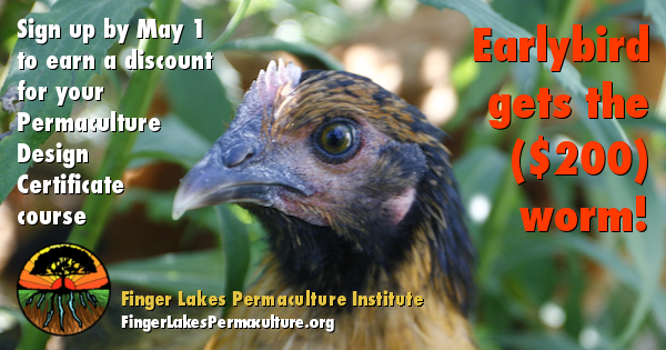 May 1 approaches: summer permaculture course discount