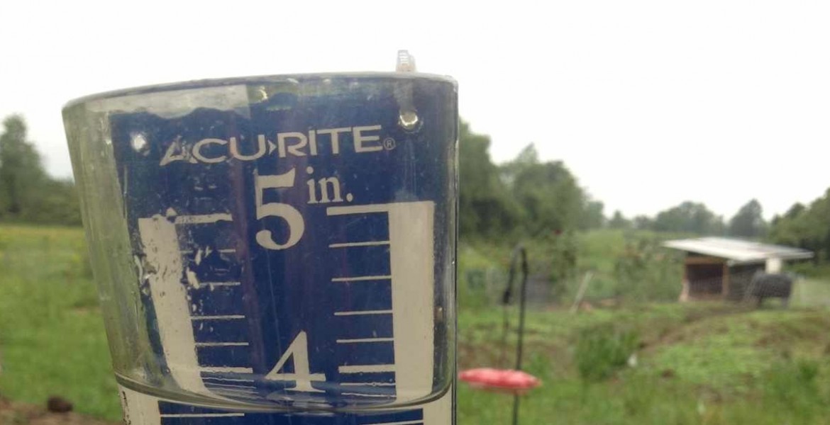 Water as a Resource in the Landscape