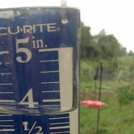 Water as a Resource in the Landscape