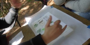 GEDSC DIGITAL CAMERA