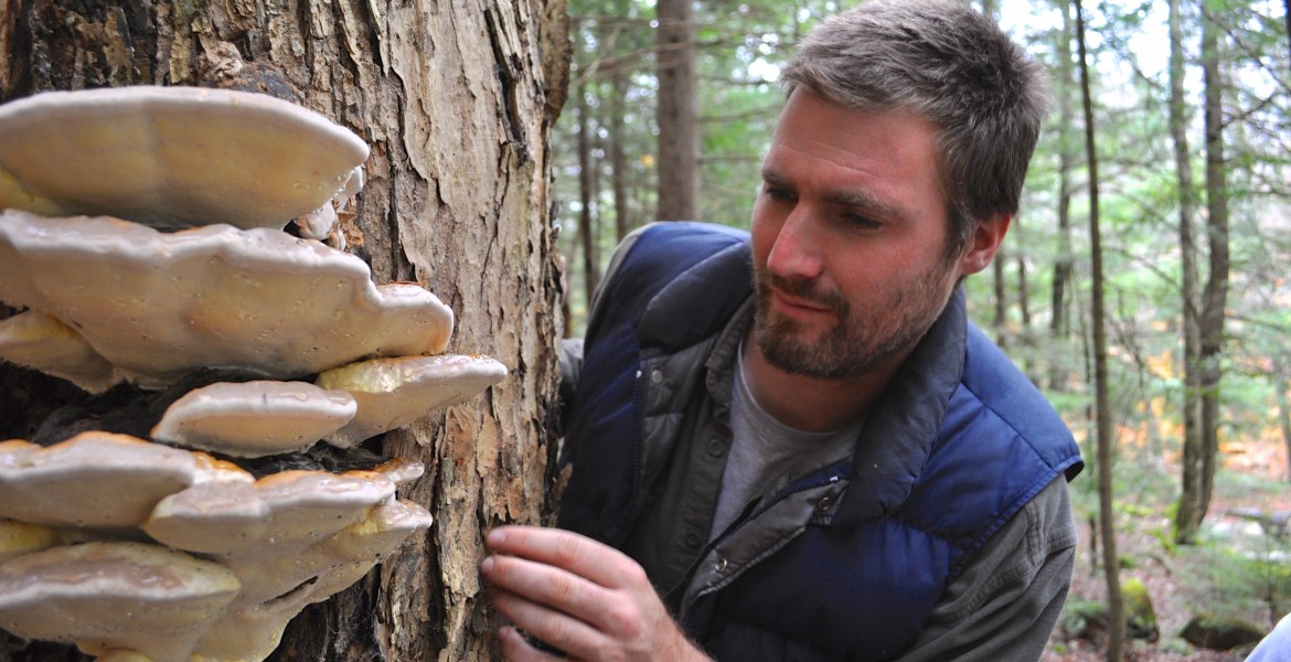 Silvoculture & Agroforestry