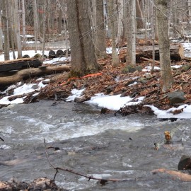 Water: Permaculture Design for Abundance or Disaster