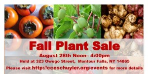 permaculture_plant_sale_flyer