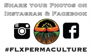 hashtagflxpermaculture